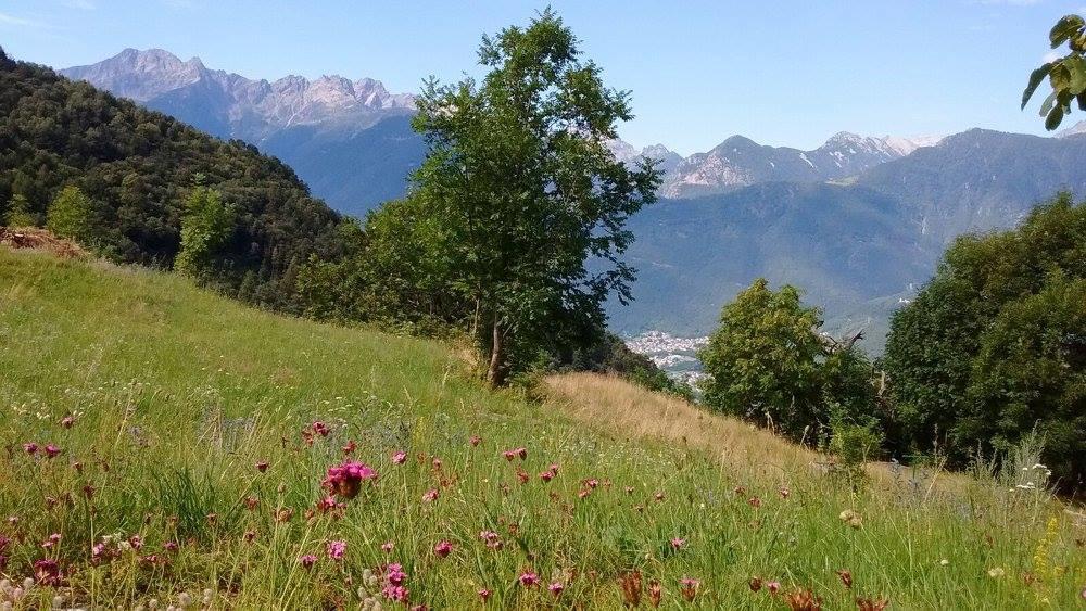 Rifugio Uschione Guest House Chiavenna Exterior photo